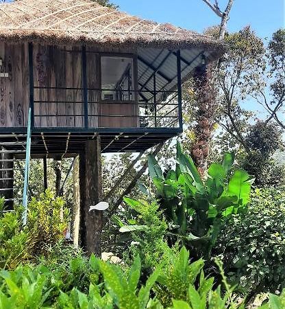 Noah'S Nest Tree House Daire Thekkady Dış mekan fotoğraf