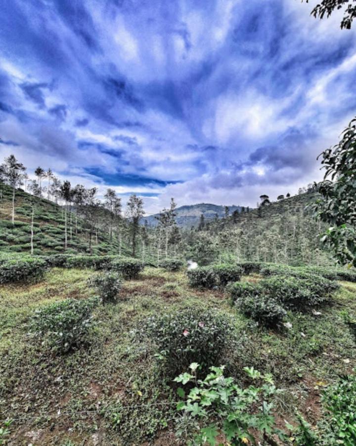 Noah'S Nest Tree House Daire Thekkady Dış mekan fotoğraf