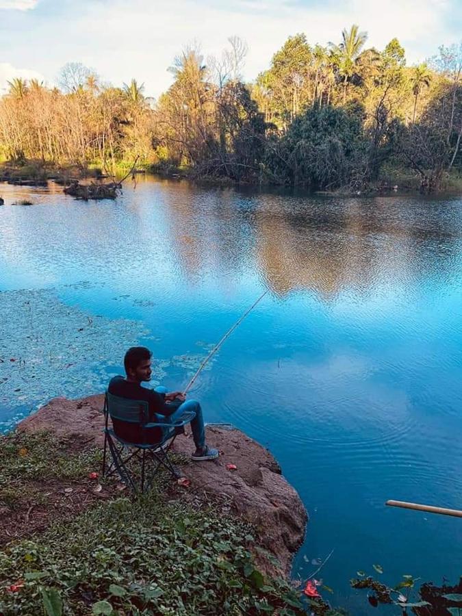Noah'S Nest Tree House Daire Thekkady Dış mekan fotoğraf