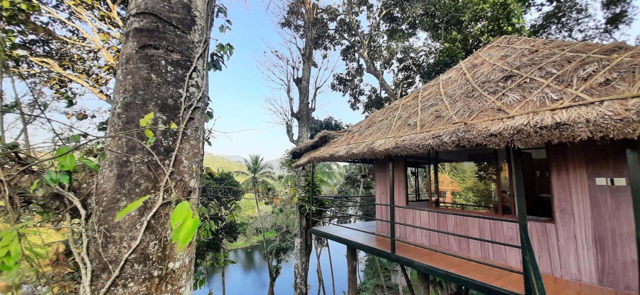 Noah'S Nest Tree House Daire Thekkady Dış mekan fotoğraf