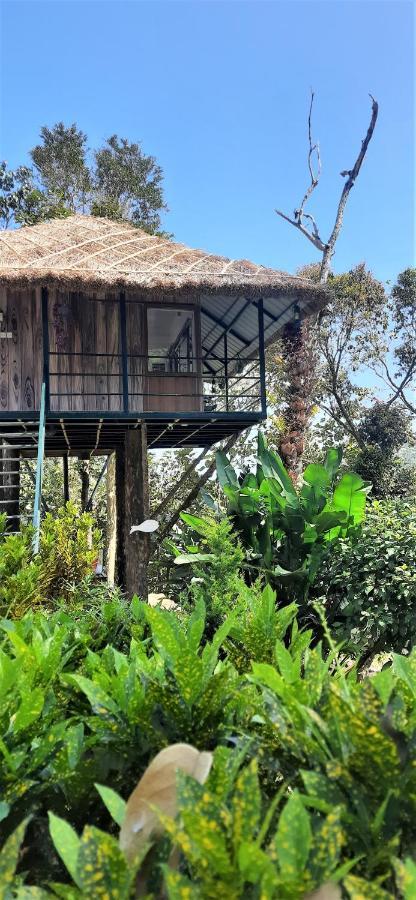 Noah'S Nest Tree House Daire Thekkady Dış mekan fotoğraf