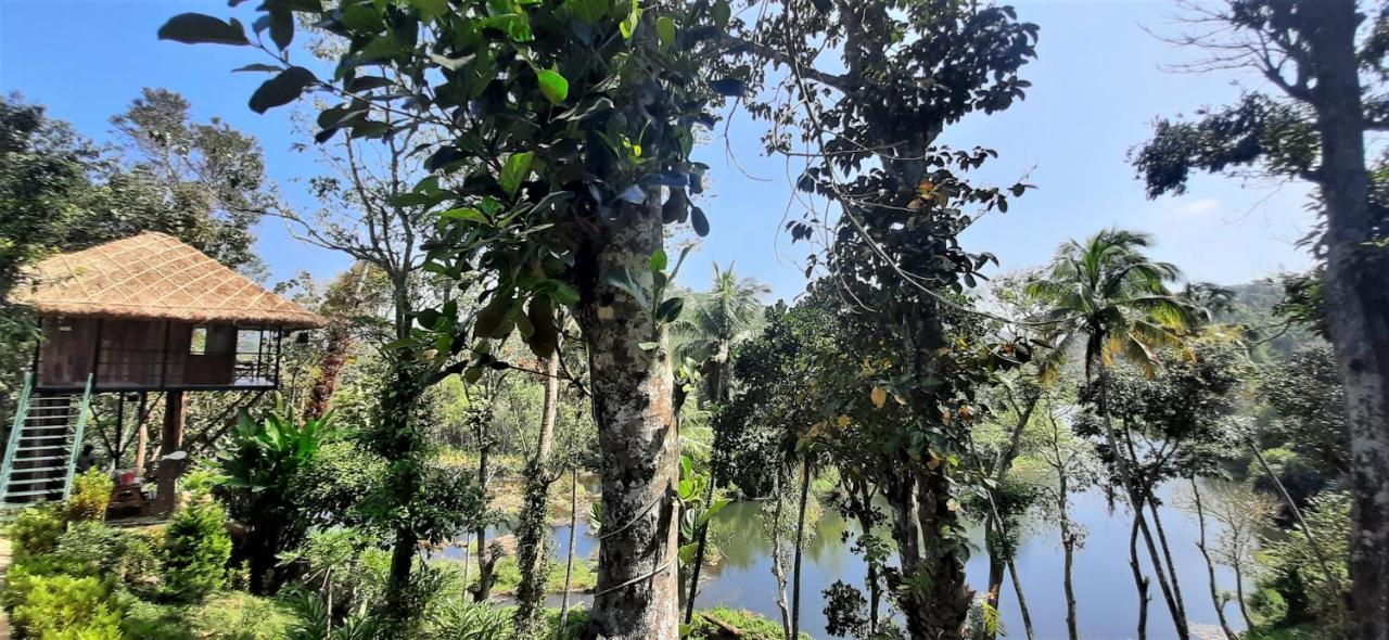 Noah'S Nest Tree House Daire Thekkady Dış mekan fotoğraf