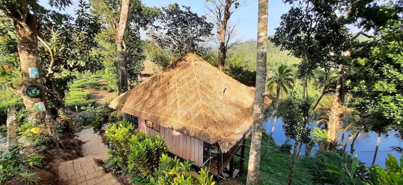 Noah'S Nest Tree House Daire Thekkady Dış mekan fotoğraf