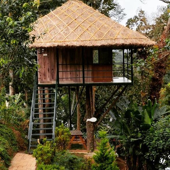 Noah'S Nest Tree House Daire Thekkady Dış mekan fotoğraf