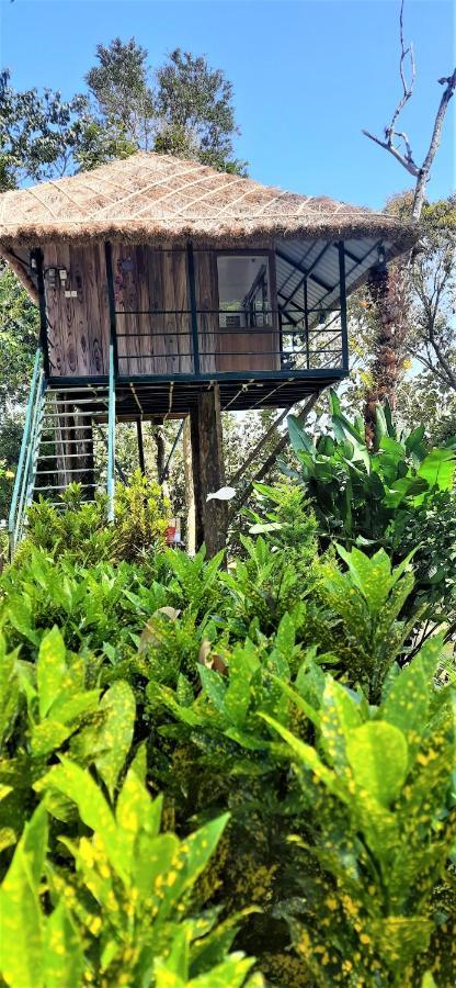 Noah'S Nest Tree House Daire Thekkady Dış mekan fotoğraf