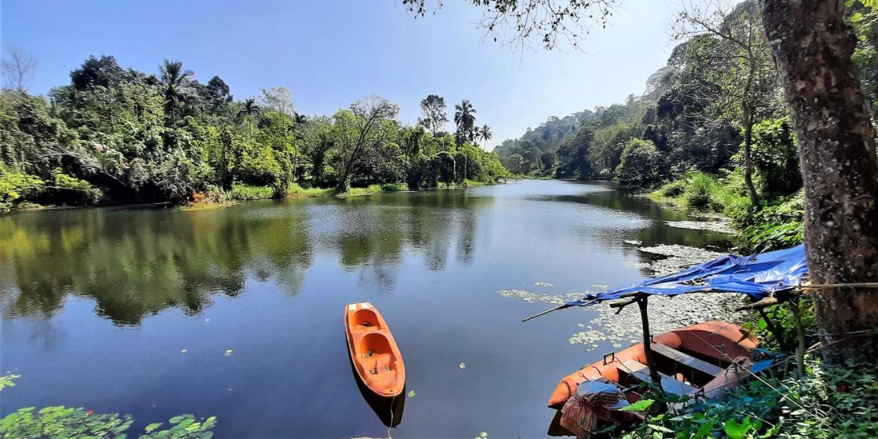 Noah'S Nest Tree House Daire Thekkady Dış mekan fotoğraf
