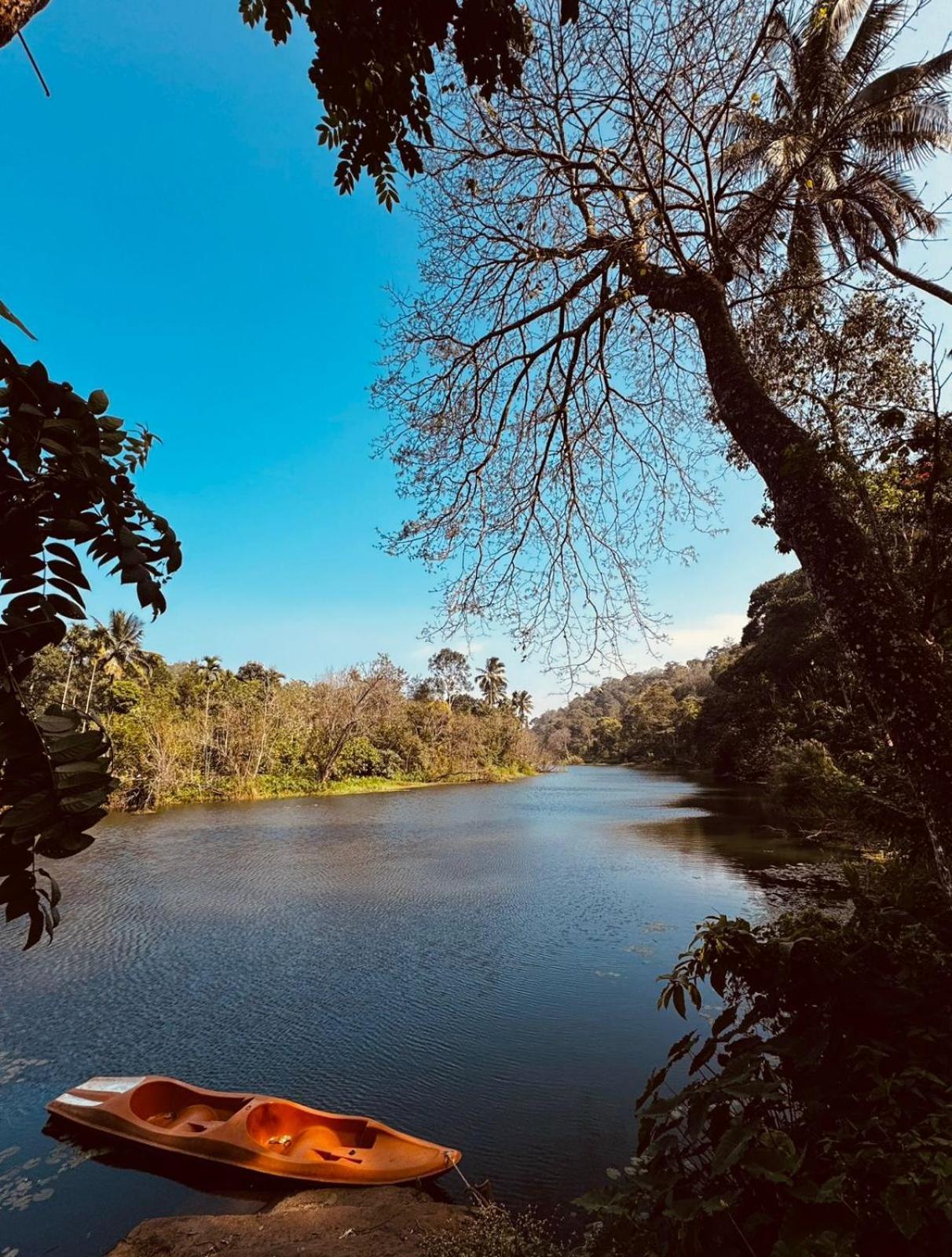 Noah'S Nest Tree House Daire Thekkady Dış mekan fotoğraf