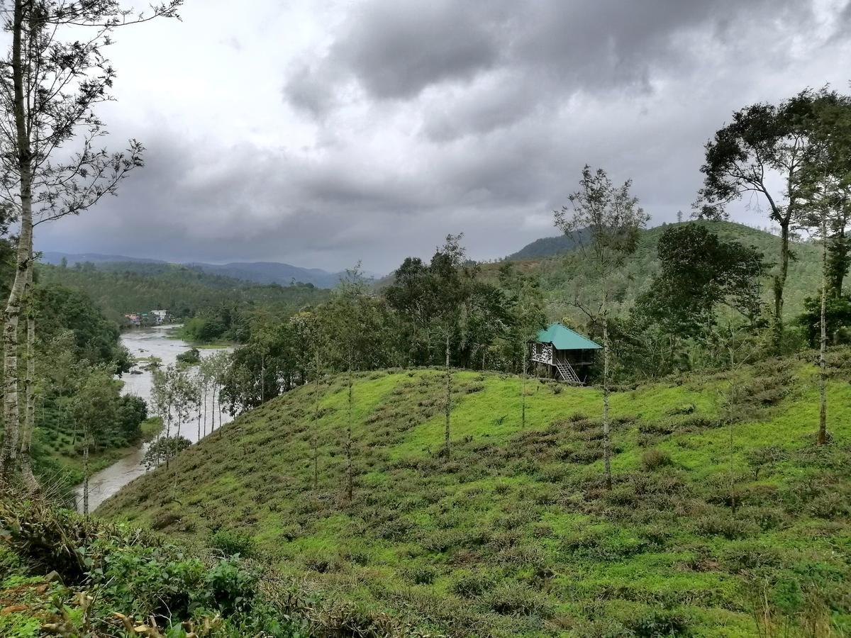 Noah'S Nest Tree House Daire Thekkady Dış mekan fotoğraf