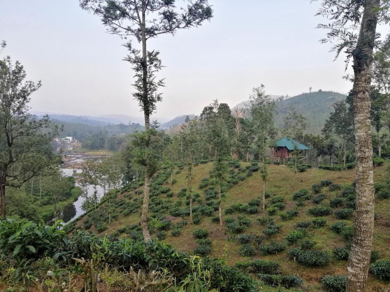 Noah'S Nest Tree House Daire Thekkady Dış mekan fotoğraf