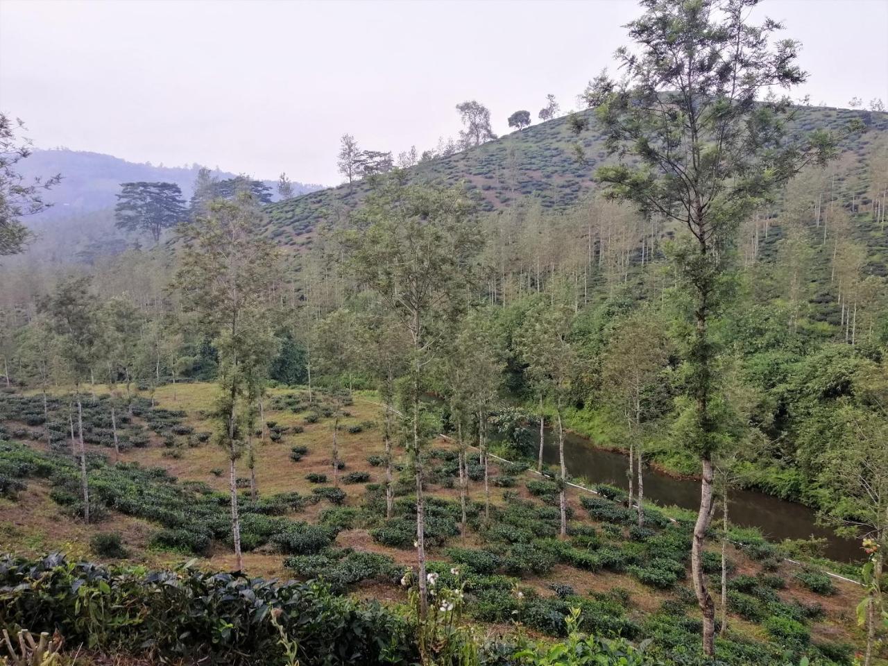 Noah'S Nest Tree House Daire Thekkady Dış mekan fotoğraf