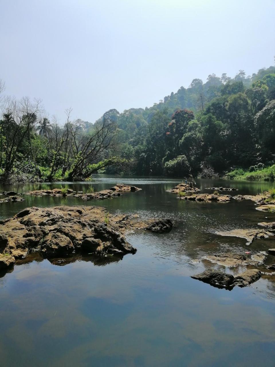 Noah'S Nest Tree House Daire Thekkady Dış mekan fotoğraf
