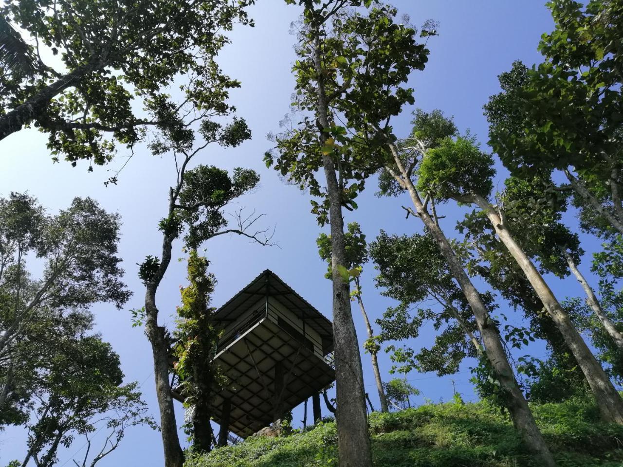 Noah'S Nest Tree House Daire Thekkady Dış mekan fotoğraf