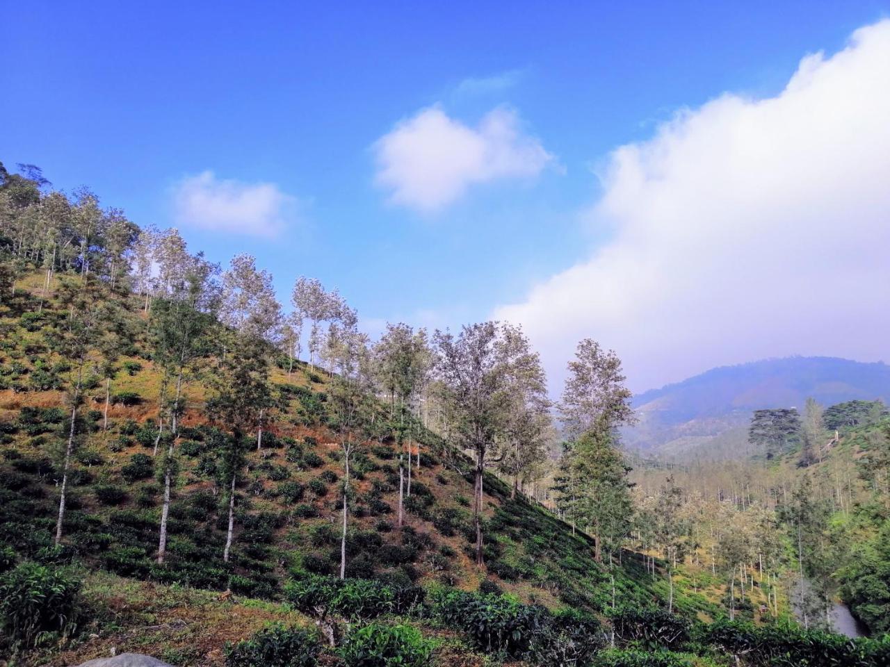 Noah'S Nest Tree House Daire Thekkady Dış mekan fotoğraf
