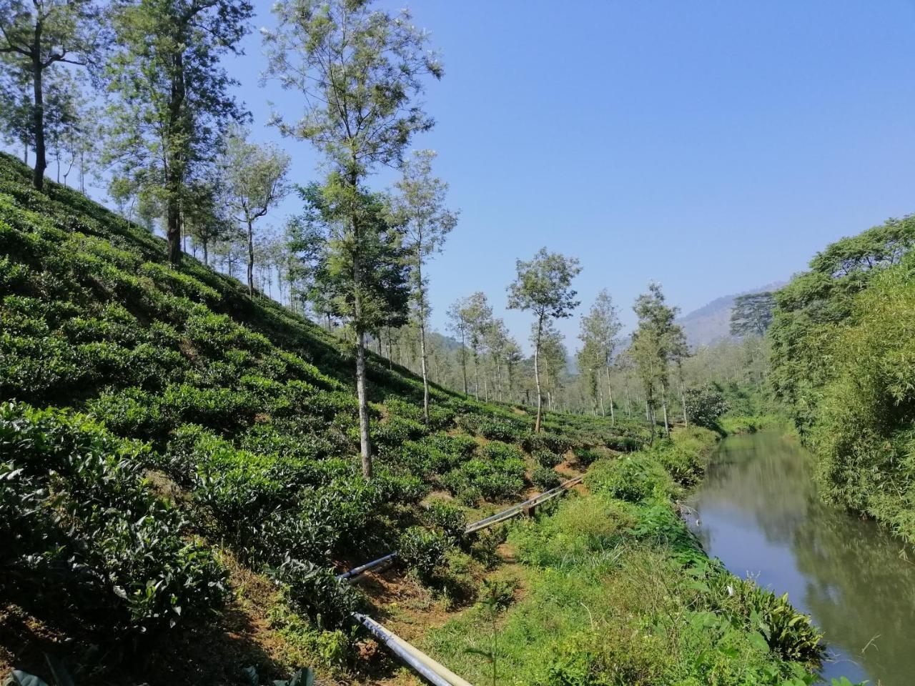 Noah'S Nest Tree House Daire Thekkady Dış mekan fotoğraf
