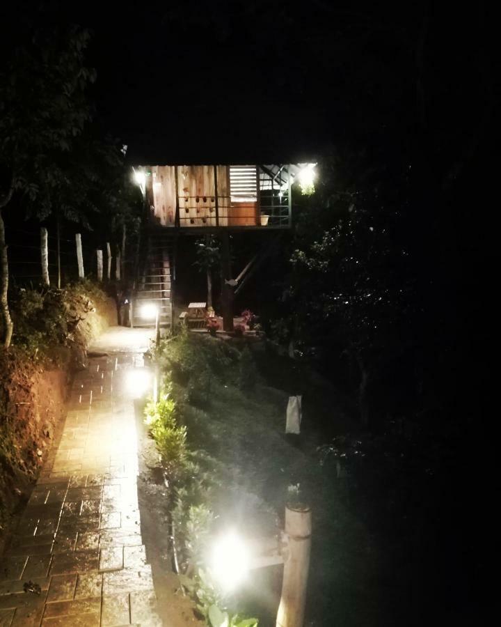 Noah'S Nest Tree House Daire Thekkady Dış mekan fotoğraf